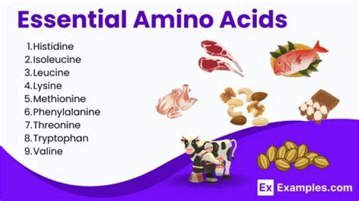 Essential Amino Acids | Everything You Need To Know