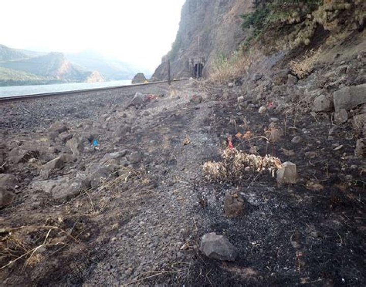 Latest investigation faults BNSF Railway for Washington’s Tunnel 5 Fire