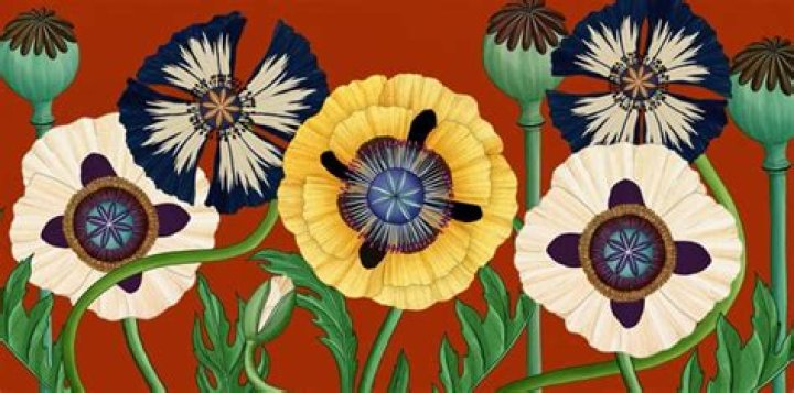 Story of Flowers, a breathtaking botanical animation