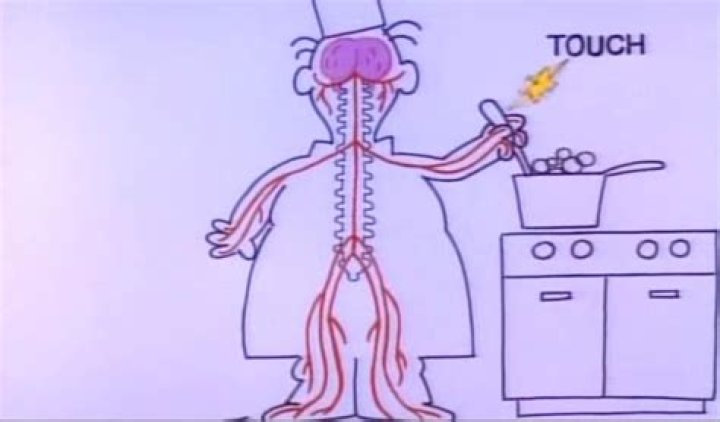 Telegraph Line (Nervous System), a 1979 Schoolhouse Rock animation